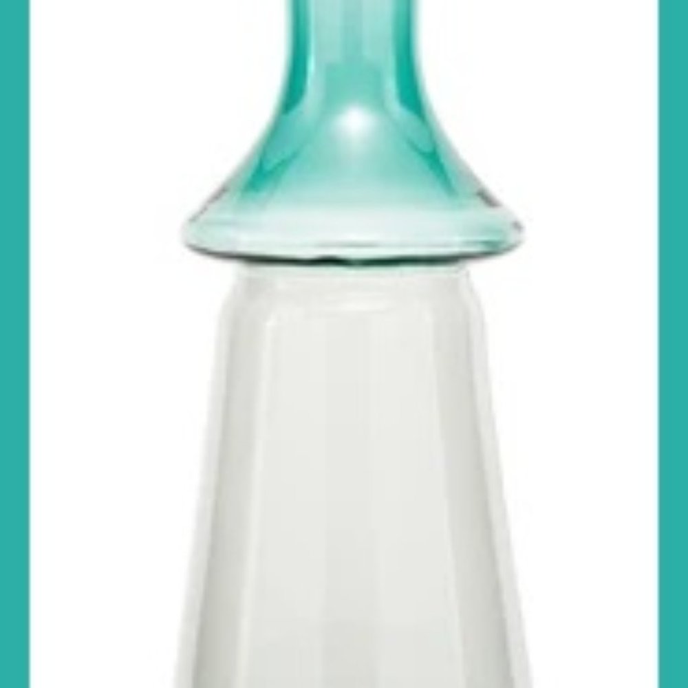 Joshua Steinberg Earl Glass Water Bottle New